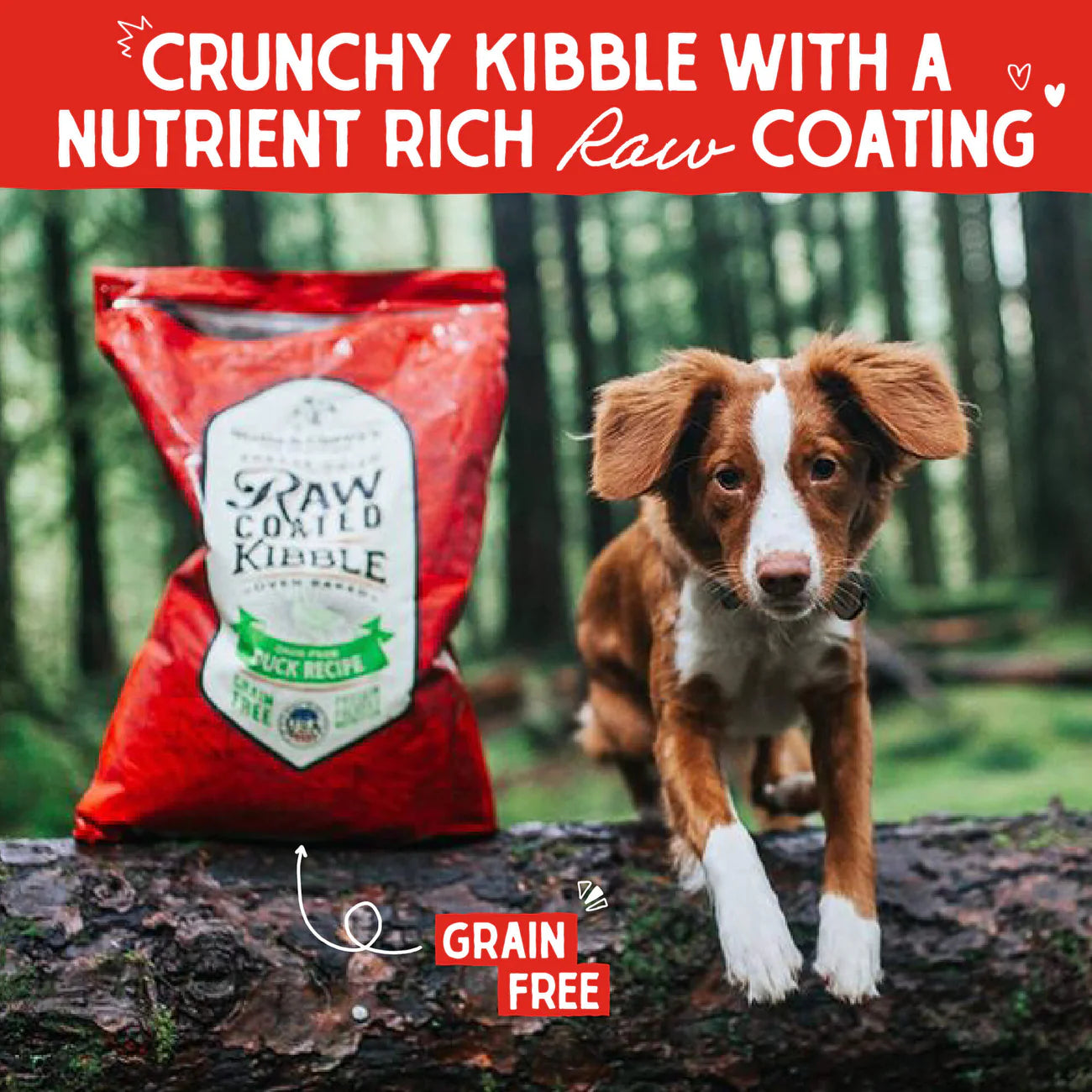 Freeze Dried Cage Free Duck Raw Coated Dog Dry Food