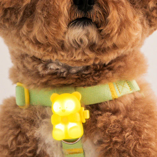 Bite Me Jelly Bear LED Rechargeable Blinker (3 Colors)