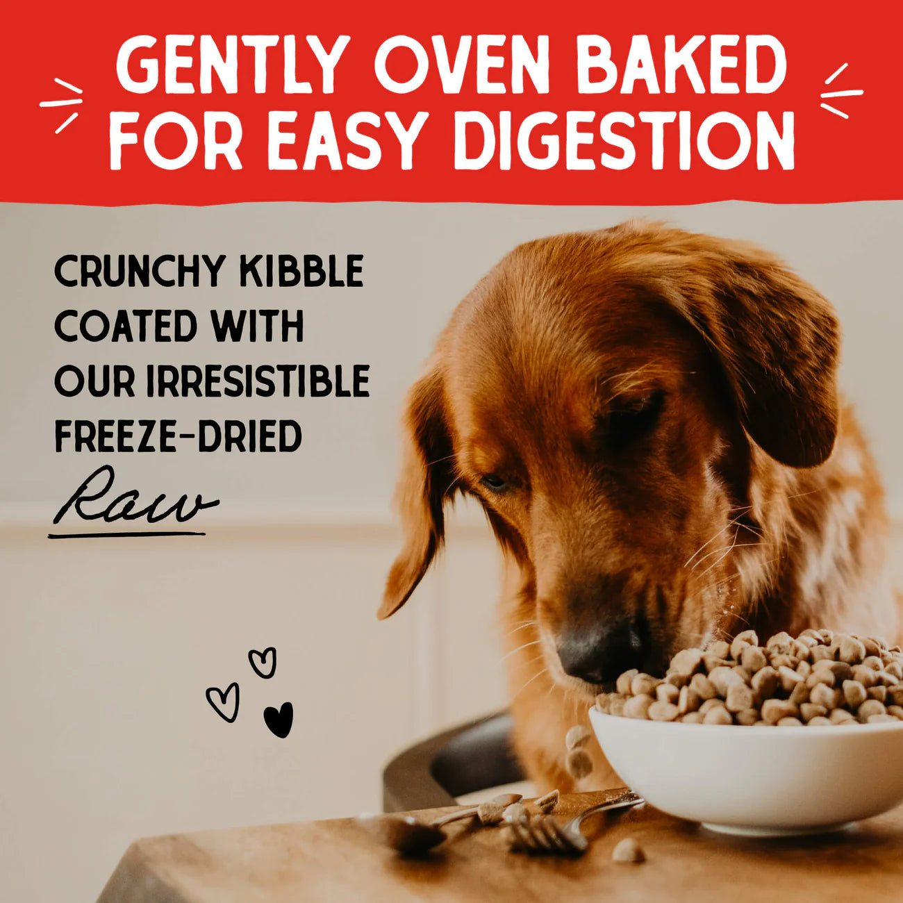 Freeze Dried Cage Free Duck Raw Coated Dog Dry Food