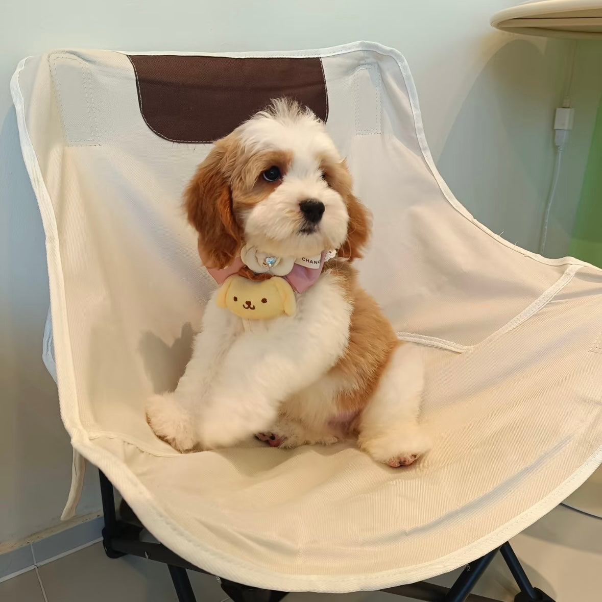 Sanrio Pet Cute Harness