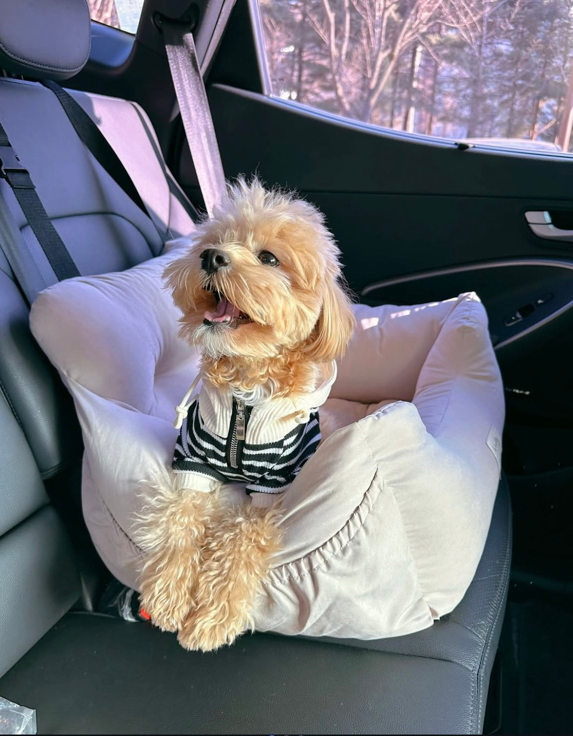 Woolly Creamy Pet Car Seat/ Sofa - kikiandpuppies