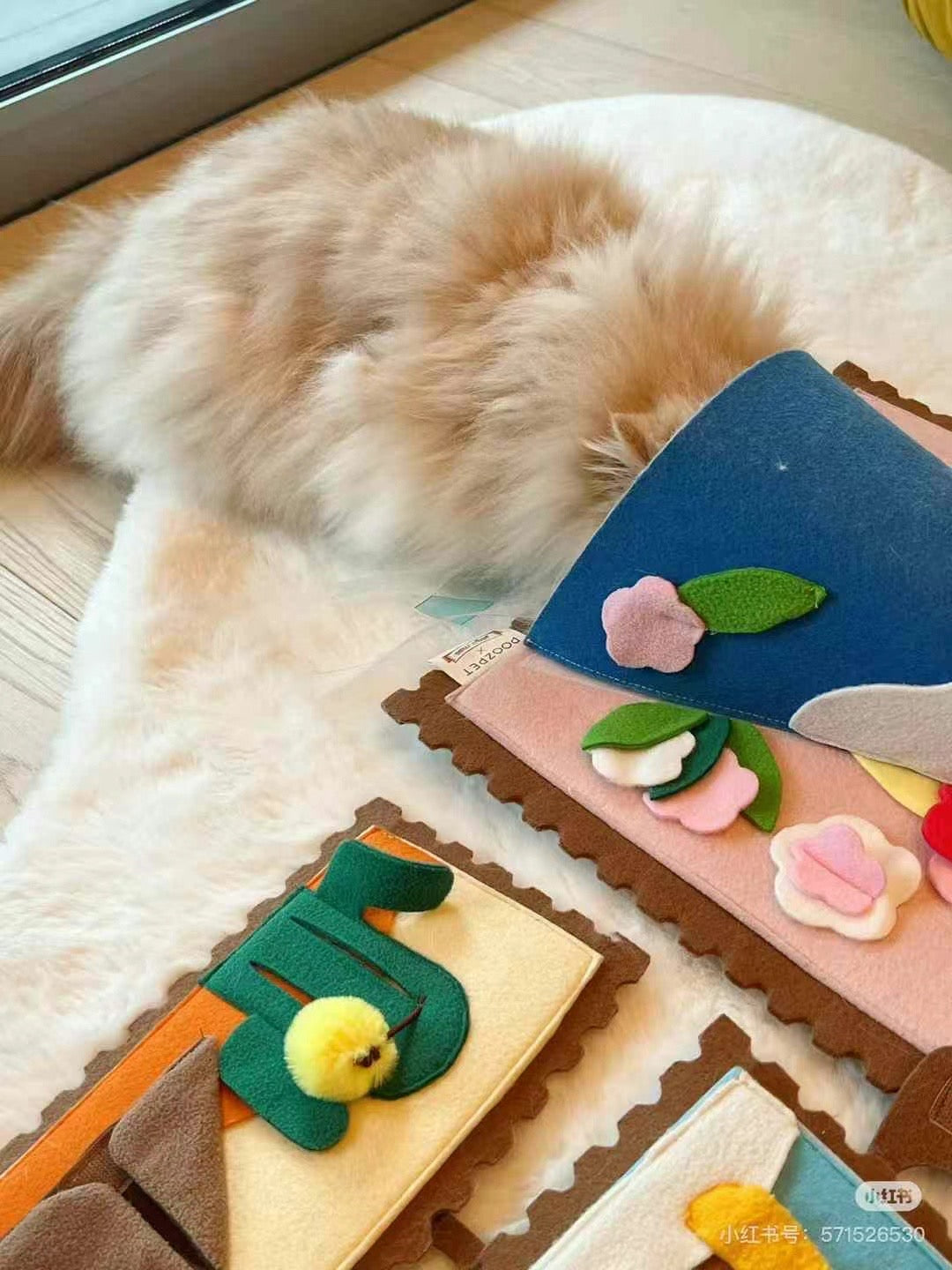 POOZPET Cat Training Relaxing Toy - World Map - kikiandpuppies