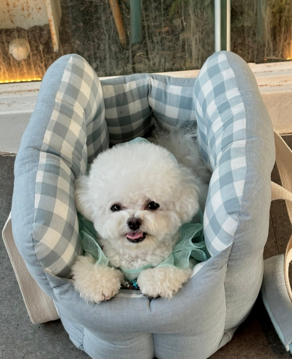 Woolly Pet Carrier Bag Car Seats