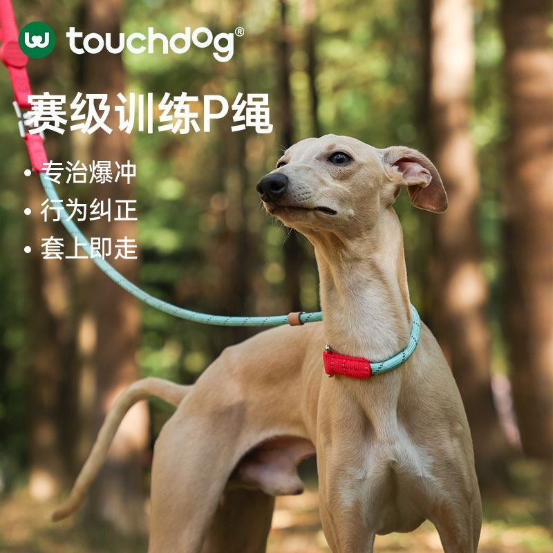 Touchdog Training Slip Leash - Prevent Pulling for All Dog Breeds 1.5m