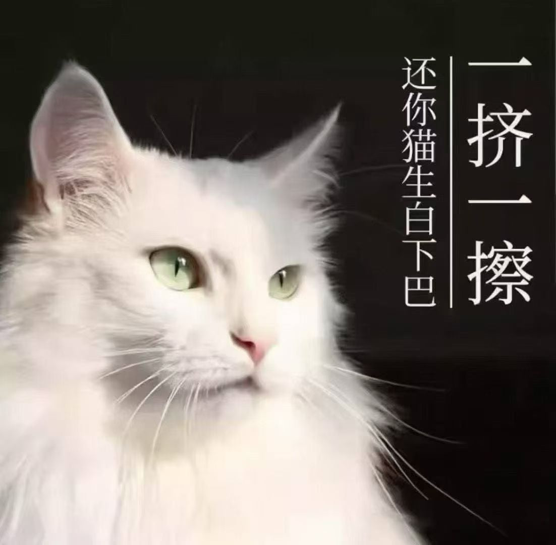 KOJIMA Pet Wash Free Cleaning Foam Oil Remover Foam (150ml)