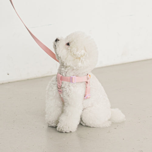 Bite Me Candy Crayon Harness - kikiandpuppies