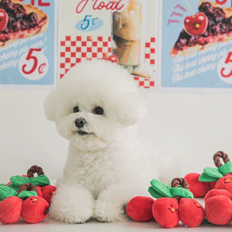 Cherry Tug Toy - kikiandpuppies