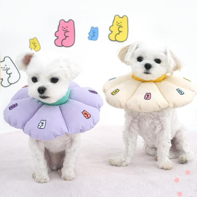 Jelly Bear Cushion Pet Recovery Collar for Dogs - kikiandpuppies