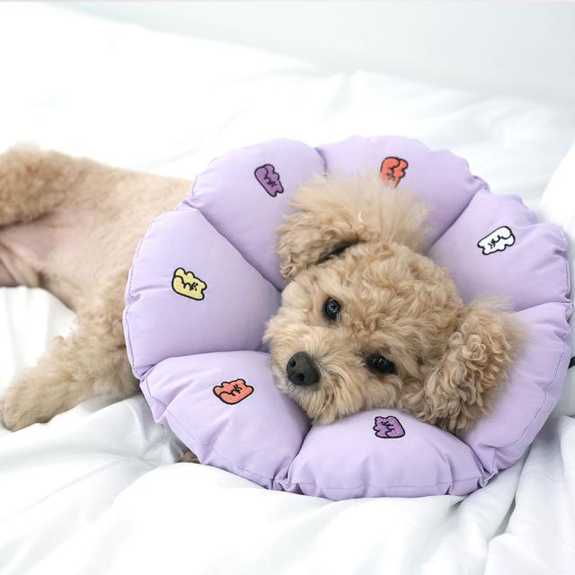 Jelly Bear Cushion Pet Recovery Collar for Dogs - kikiandpuppies