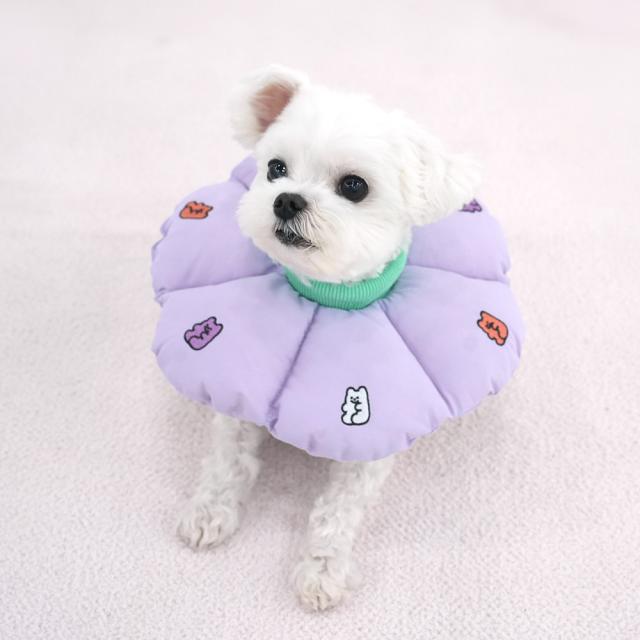 Jelly Bear Cushion Pet Recovery Collar for Dogs - kikiandpuppies