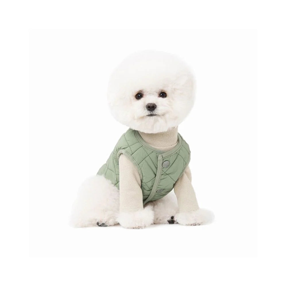 DailyPup Vest