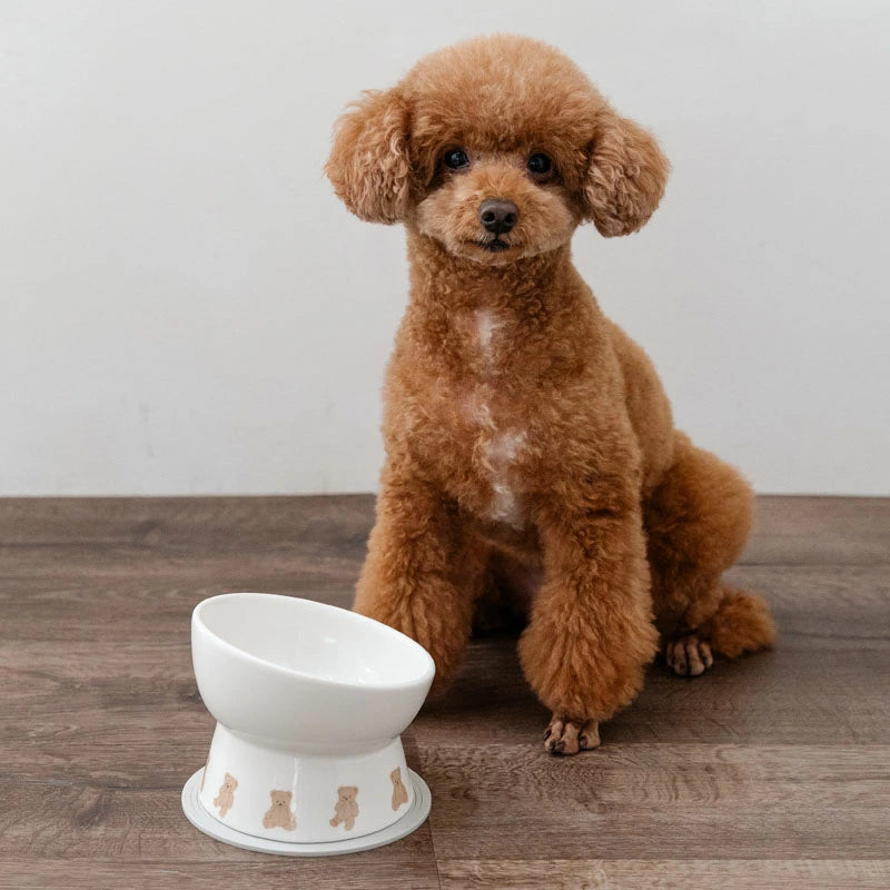 Pet Paradise Teddy Bear Tall Food Bowl