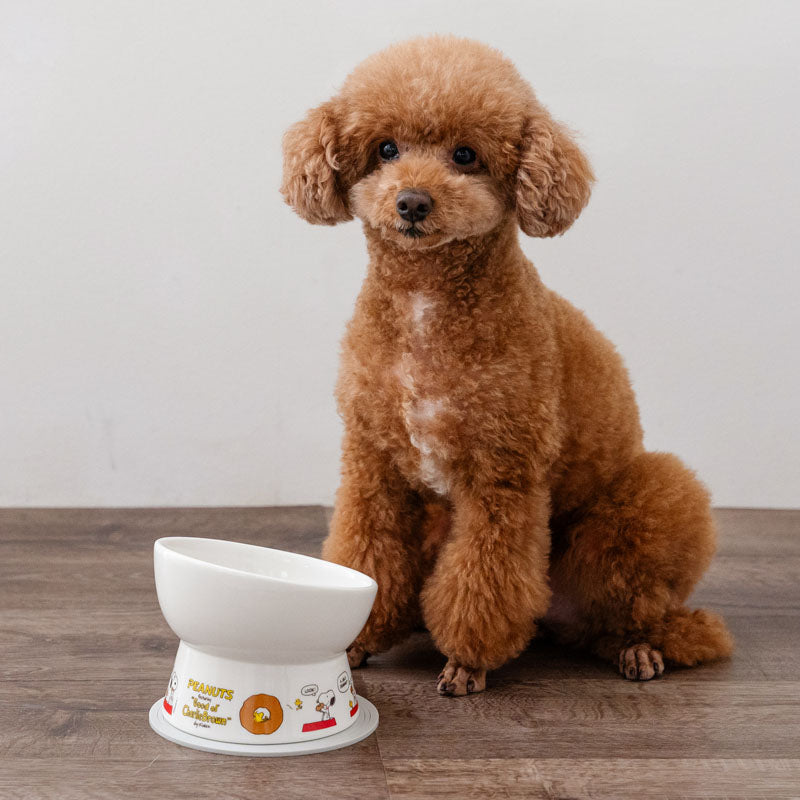 Pet Paradise Snoopy Tall Food Bowl
