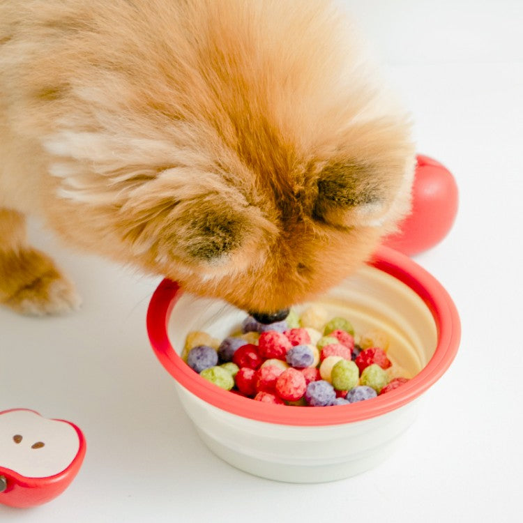 Bite Me Hello Kitty Foldable Pet Bowl