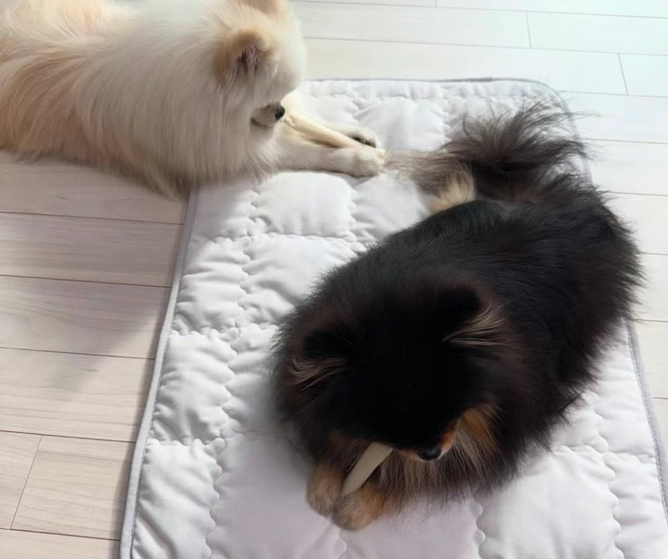 Microfiber Heating Mat Cat Dog Warm Mat Cushion