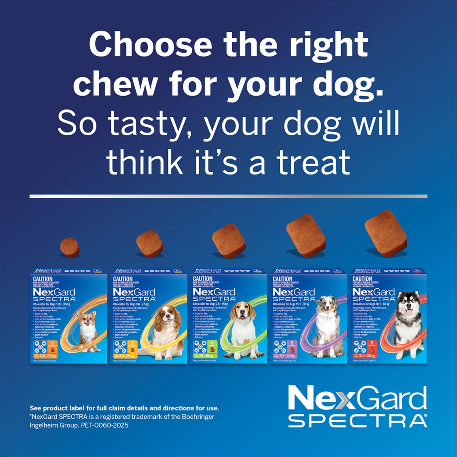 NexGard SPECTRA Chews for Very Small Dogs 1.35-3.5kg - kikiandpuppies