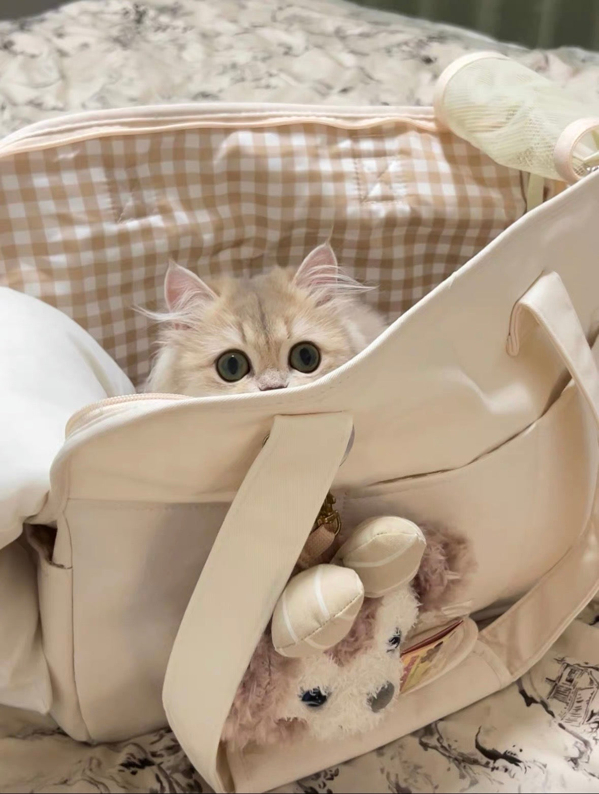 Lightweight Foldable Pet Carrier with Pillow Bag
