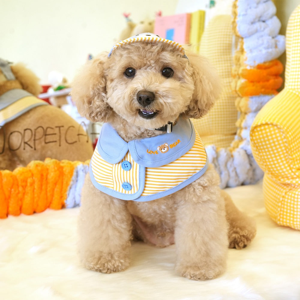 Lovely Teddy Bear Cape&Hat Cap Set