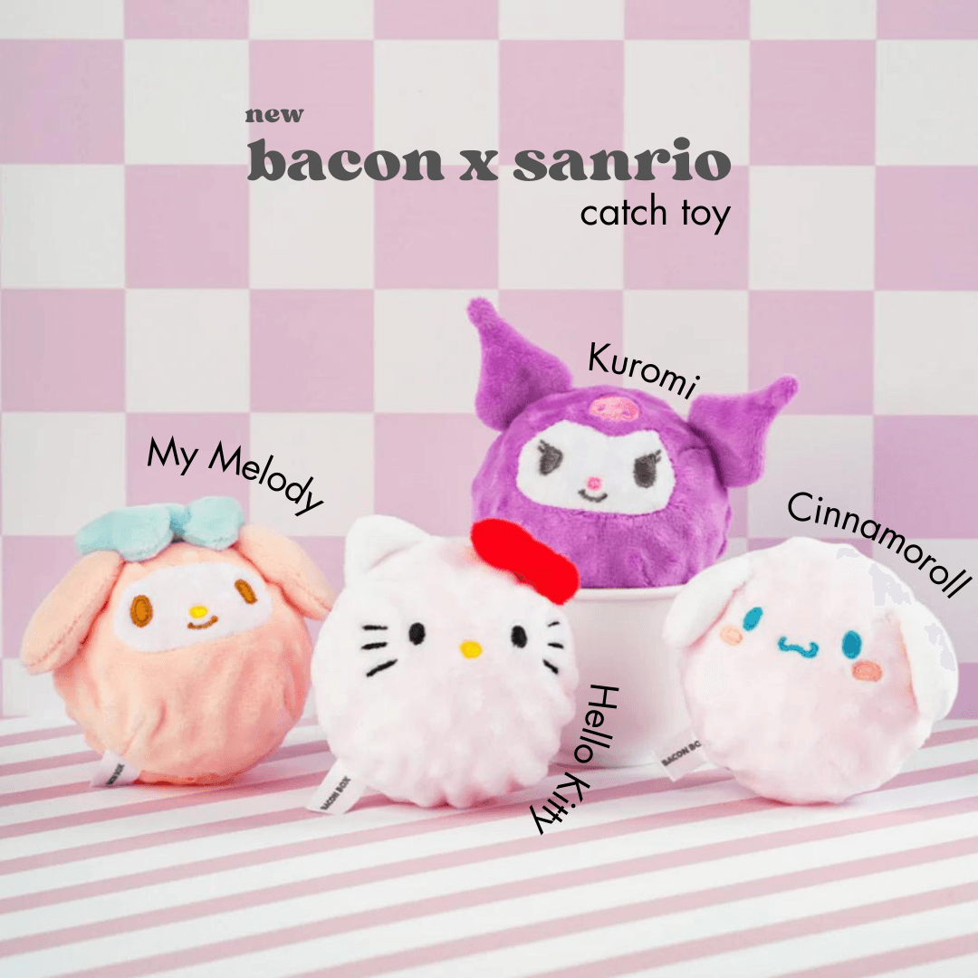 Sanrio Elastic Squeaky Ball Catch Toy - kikiandpuppies
