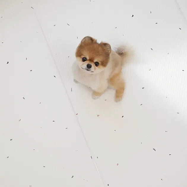 dfang Korean Pet Play Mat Length 140cm*180cm
