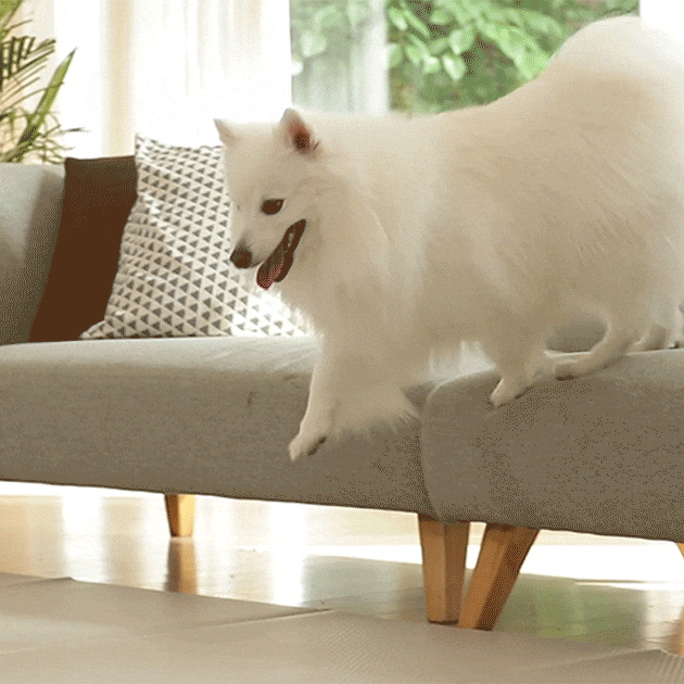 dfang Korean Pet Play Mat Length 140cm*180cm