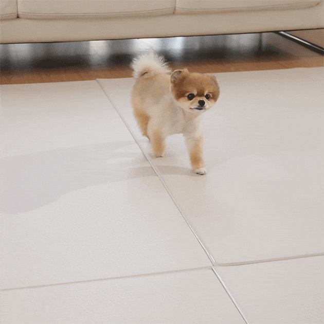 dfang Korean Pet Play Mat Length 140cm*180cm