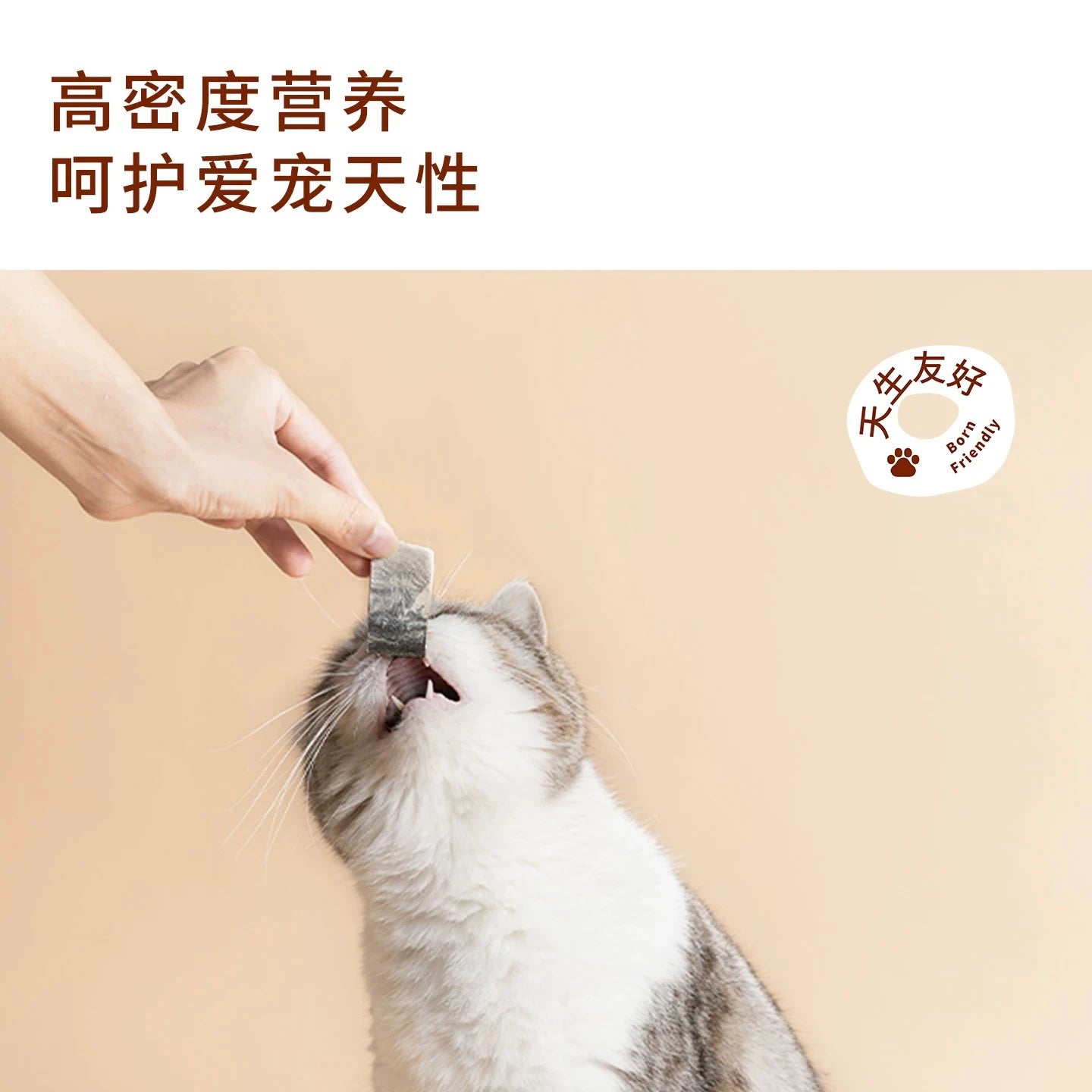 TAI YANG JIA Freeze-Dried Mackerel Pet Snacks 70g - kikiandpuppies