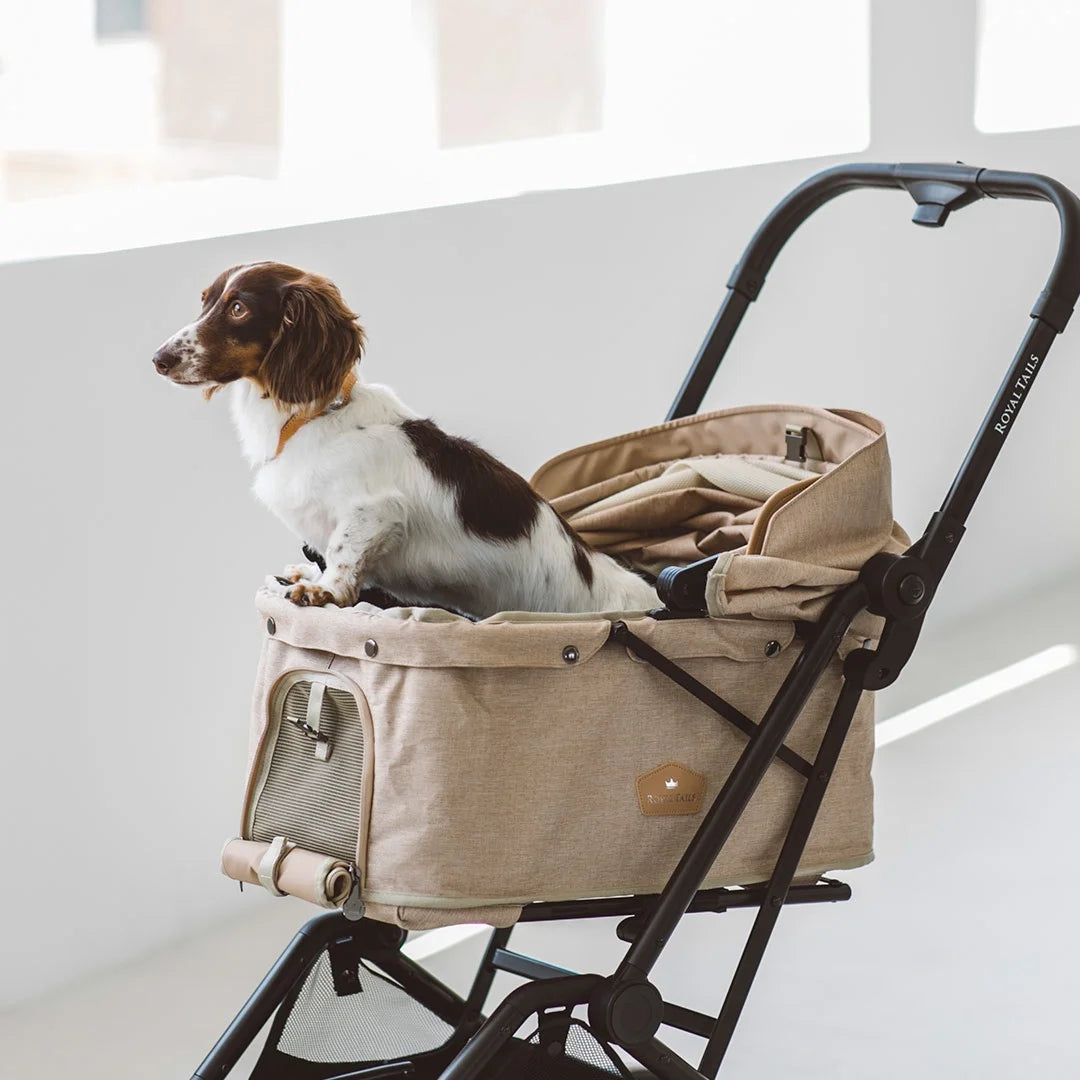 small dog stroller for sale Royal Tails Florence Pet Stroller – kikiandpuppies