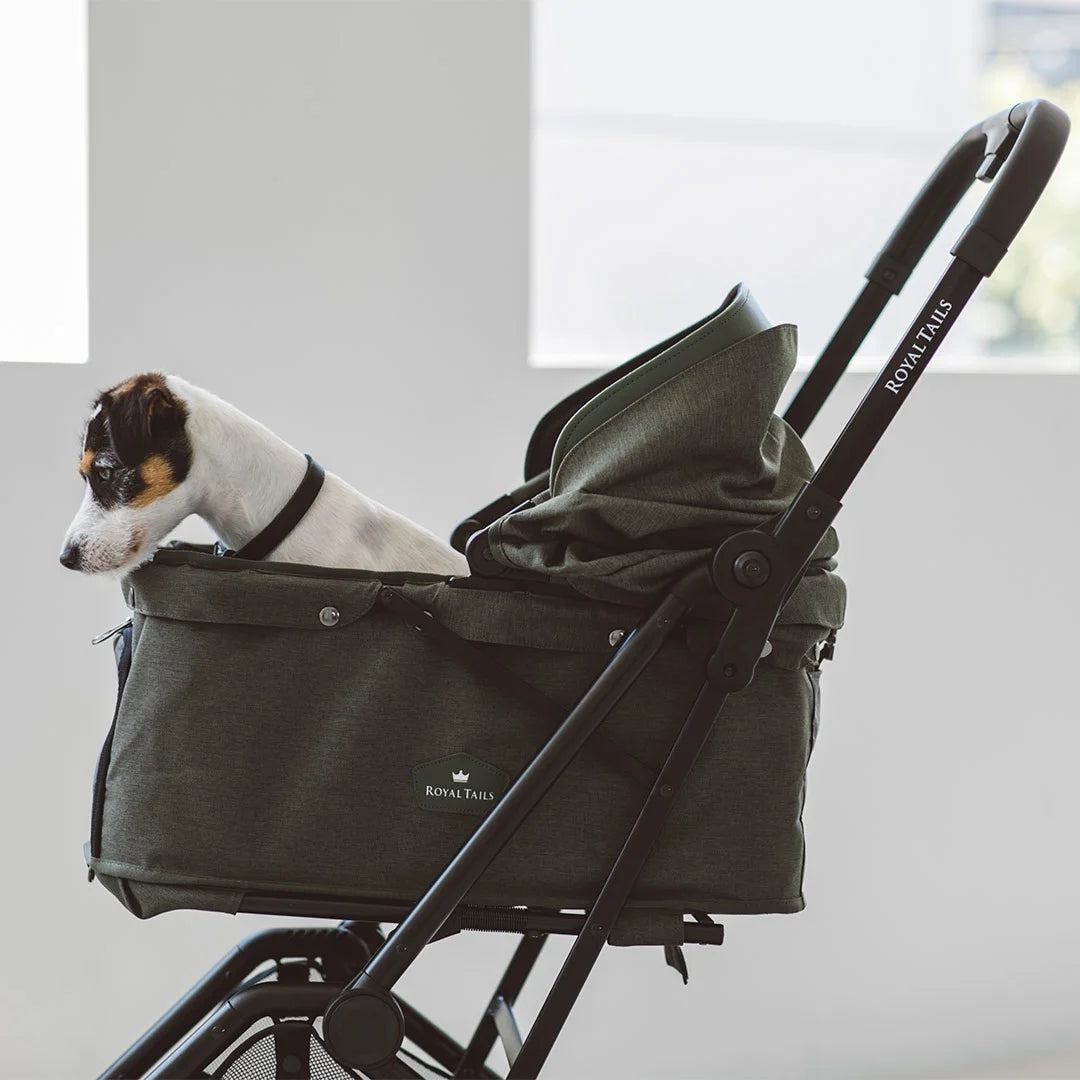dog bassinet stroller Royal Tails Florence Pet Stroller – kikiandpuppies