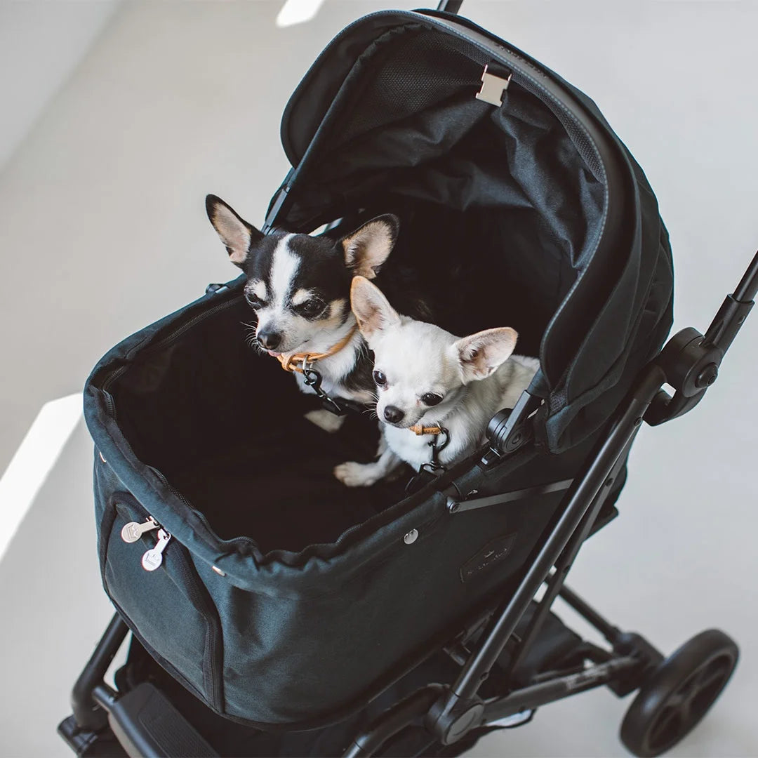 dog stroller for chihuahua Royal Tails Florence Pet Stroller – kikiandpuppies