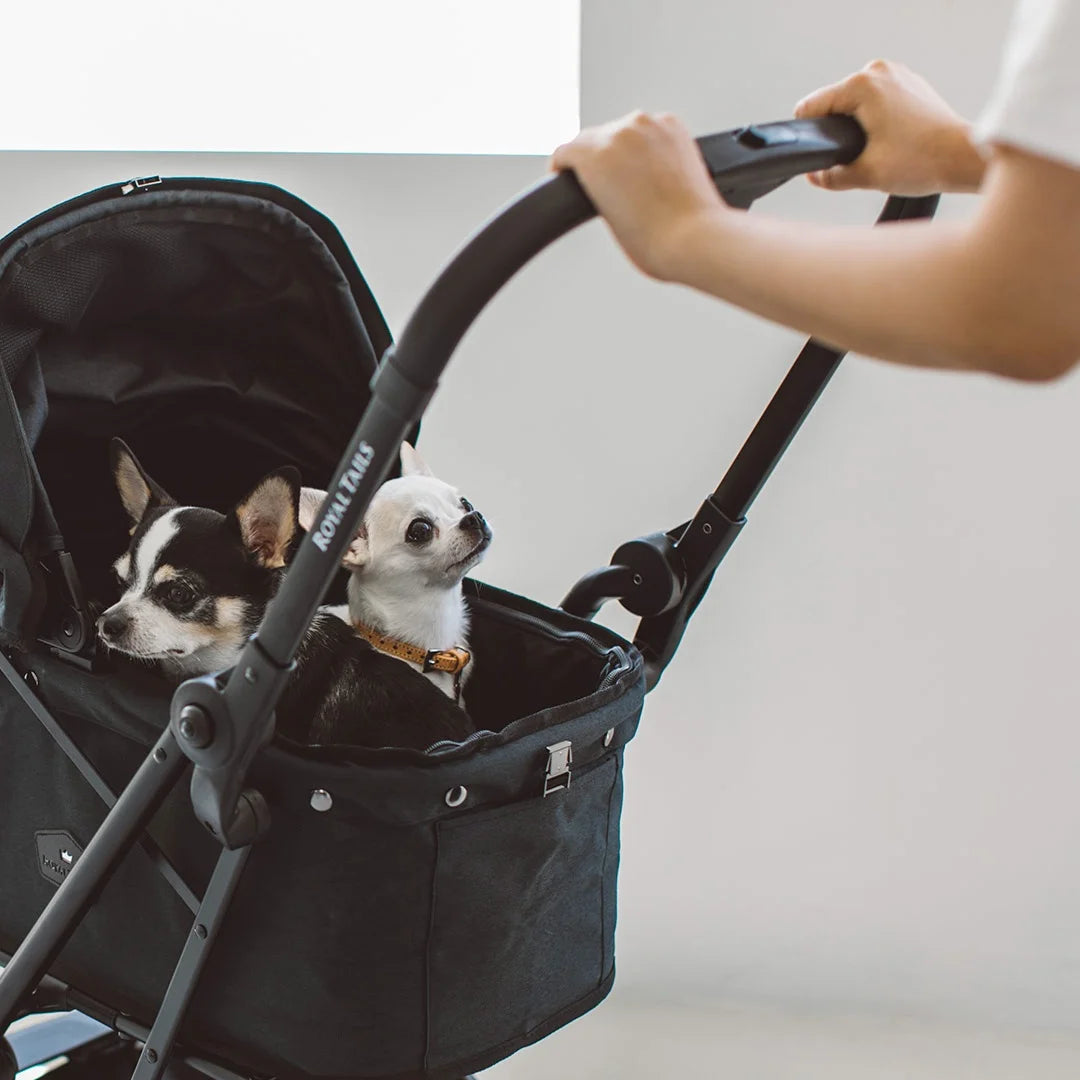 classy tails dog stroller Royal Tails Florence Pet Stroller – kikiandpuppies
