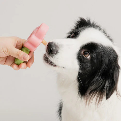 Easy Bite Grip - 2 Colors - kikiandpuppies