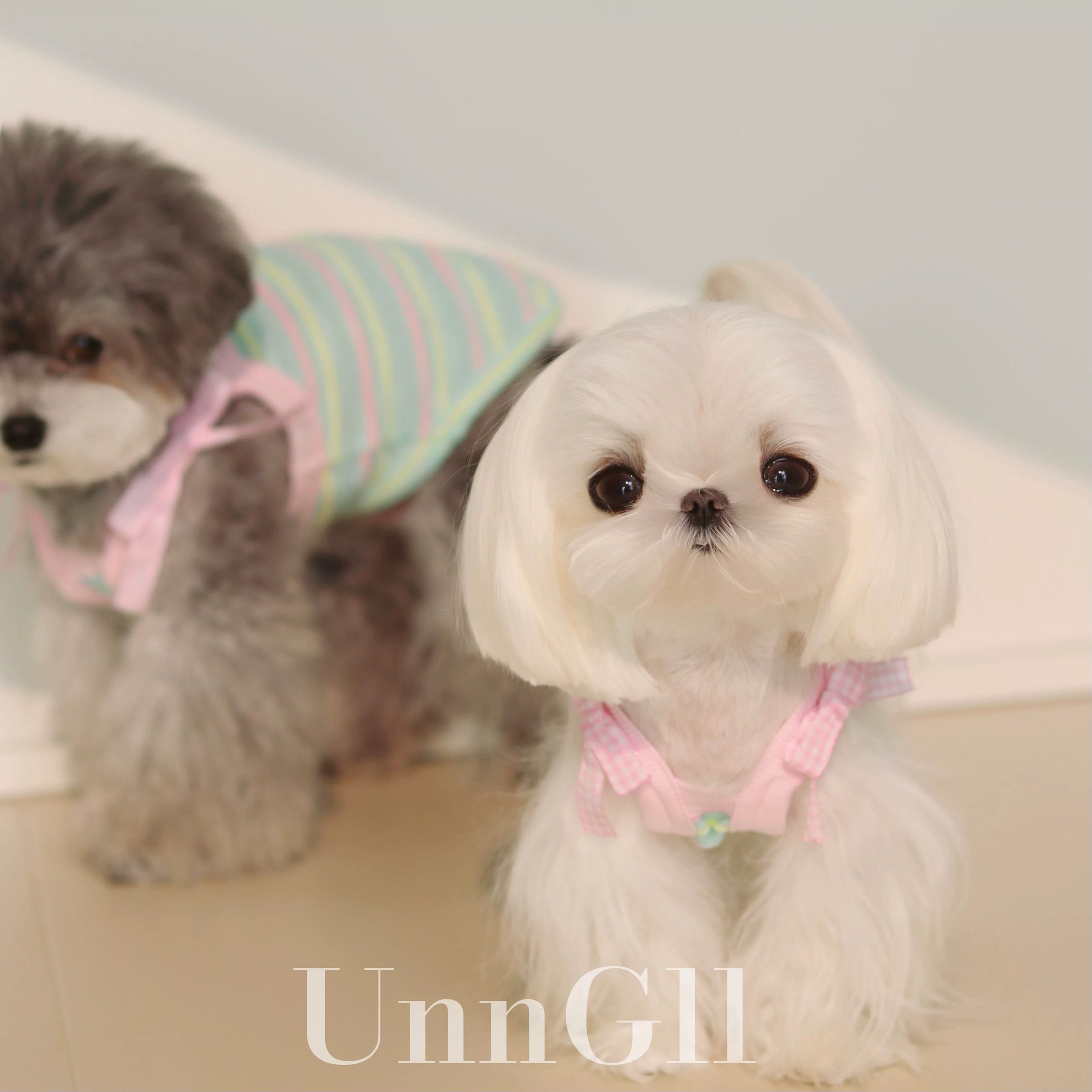 Cooling Colorful Striped Sun-Proof Pet Vest