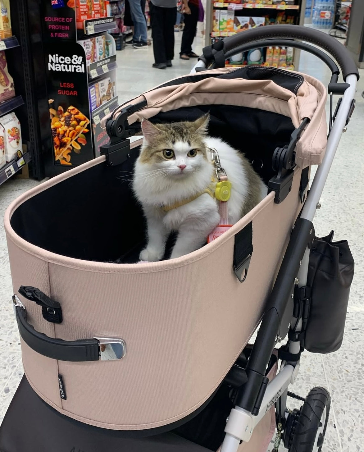 Airbuggy Dome3 Stroller