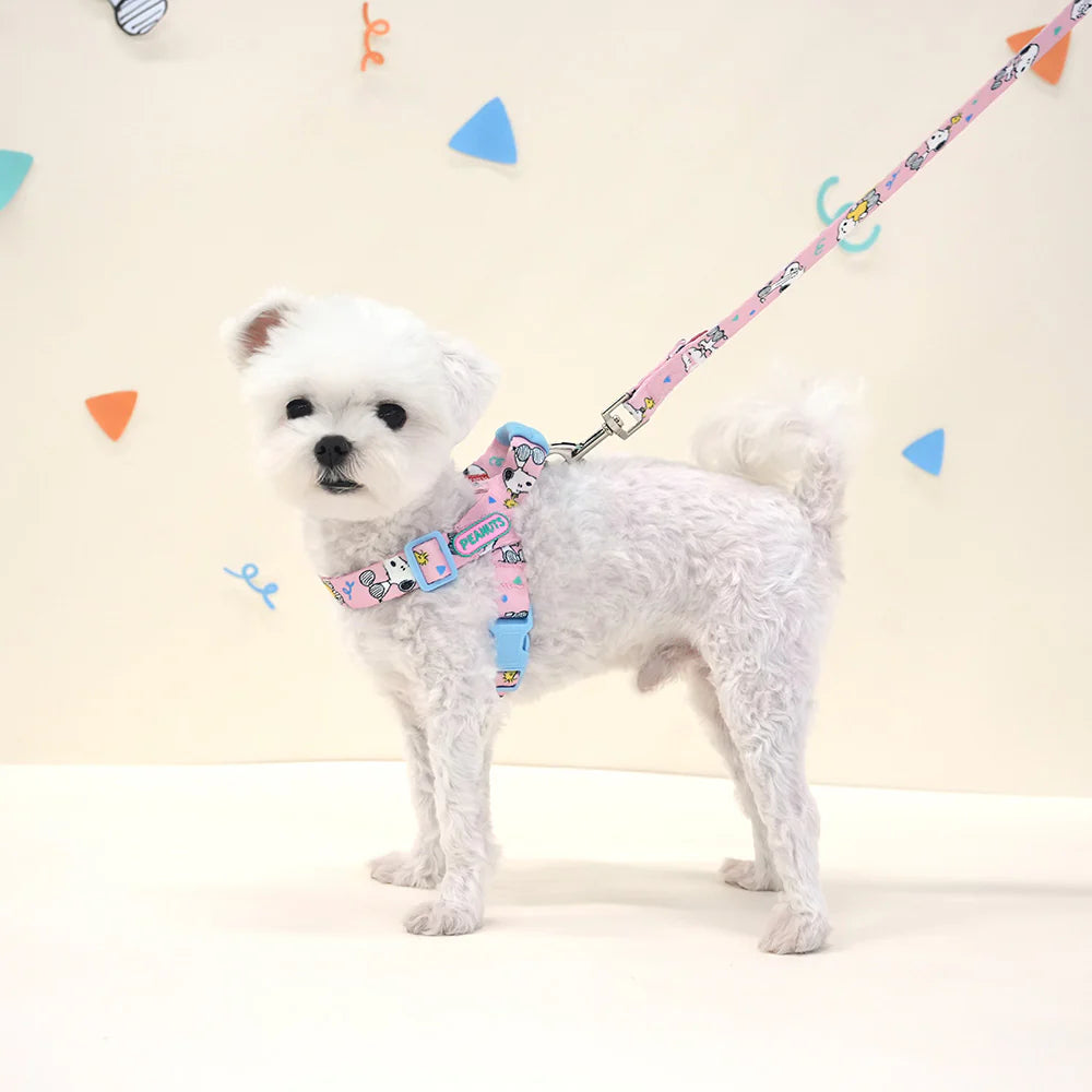 Peanuts Theme Harness