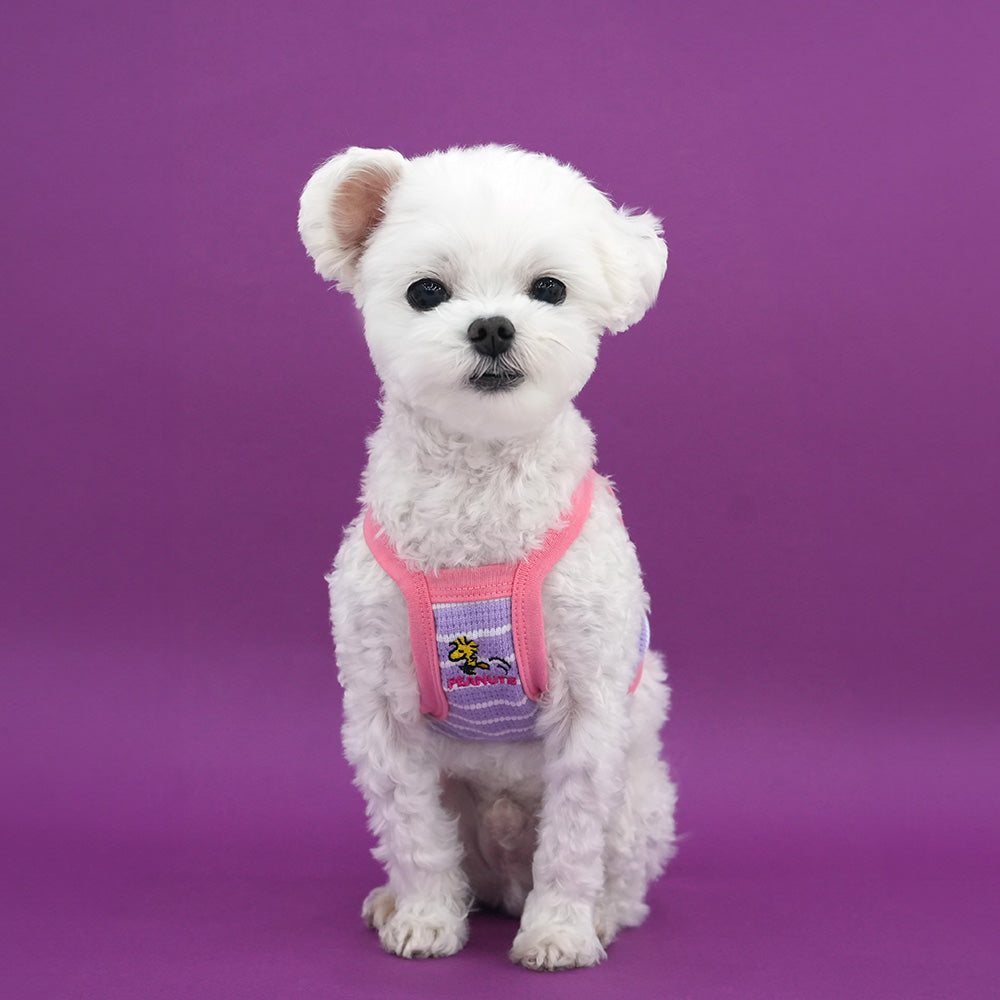 Peanuts Mini Doll Crop T-shirt