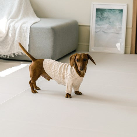 dfang Korean Pet Play Mat Length 140cm*180cm