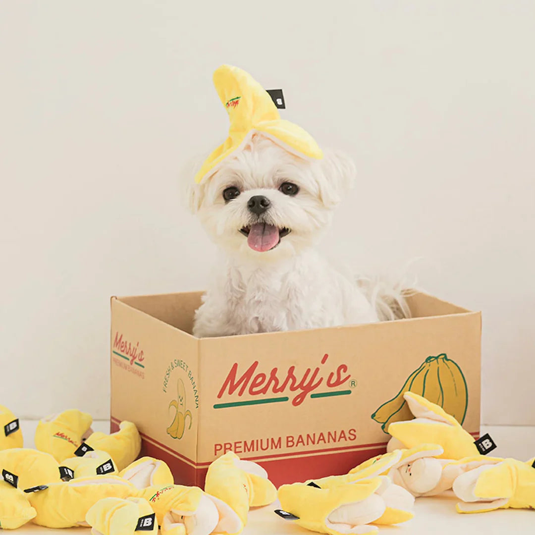 Banana Nosework Toy - kikiandpuppies