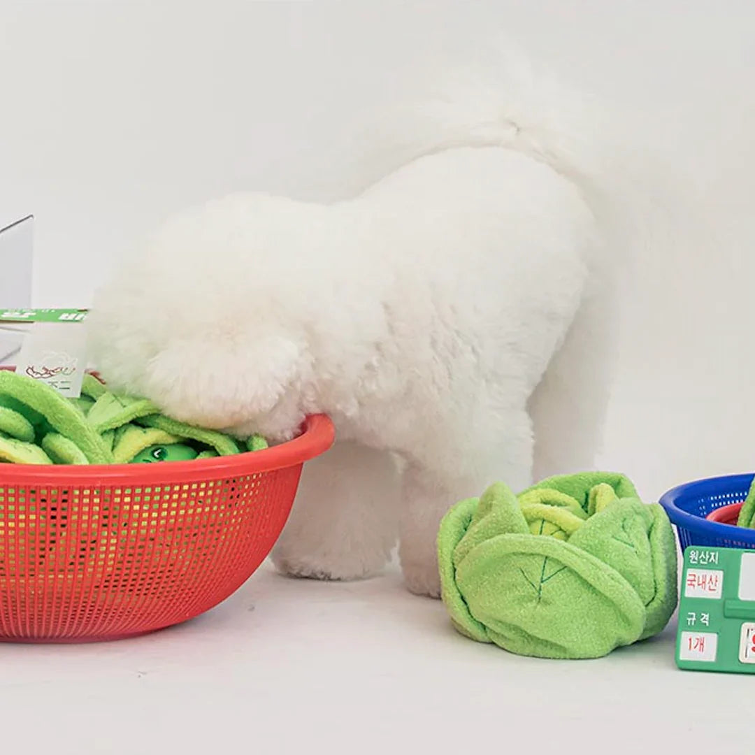 Cabbage Nosework Toy - kikiandpuppies
