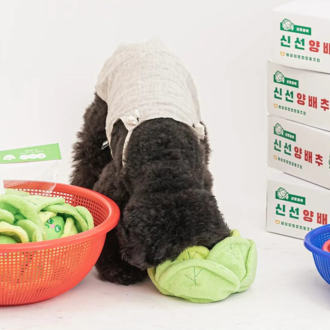 Cabbage Nosework Toy - kikiandpuppies