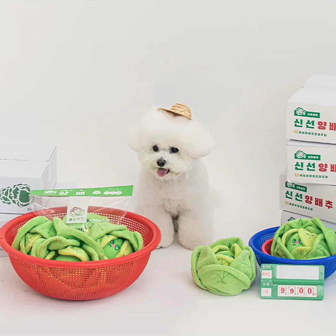 Cabbage Nosework Toy - kikiandpuppies