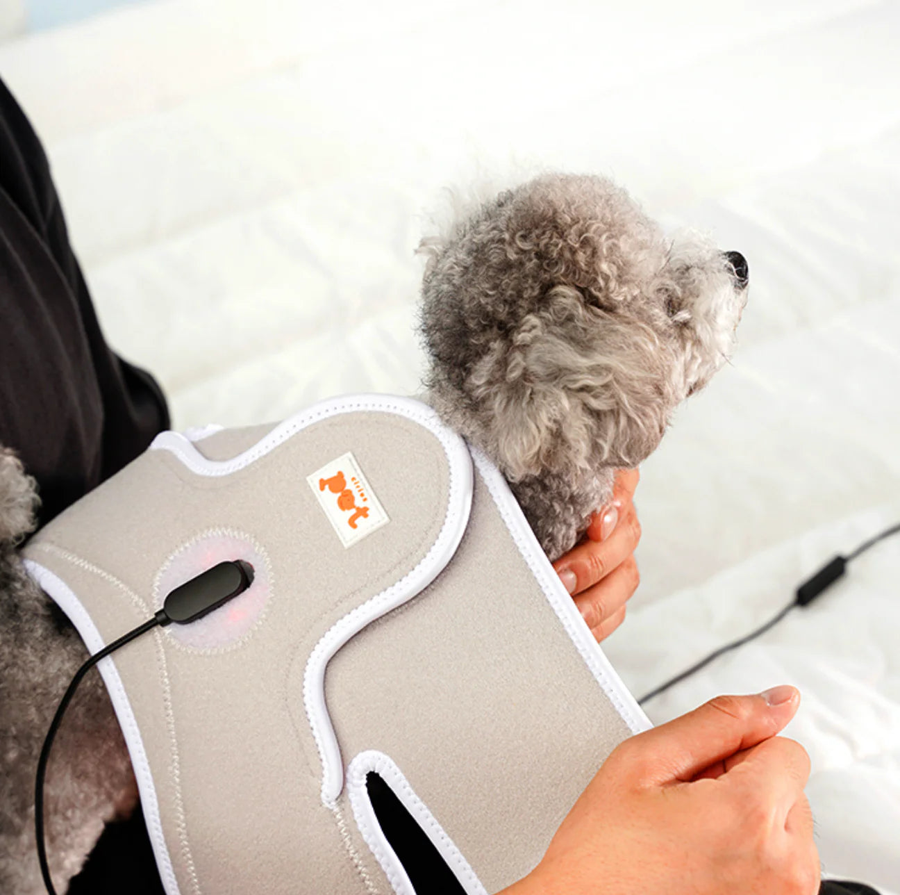 Low-level Laser Therapy (LLLT) Cape [Y-shaped] - kikiandpuppies