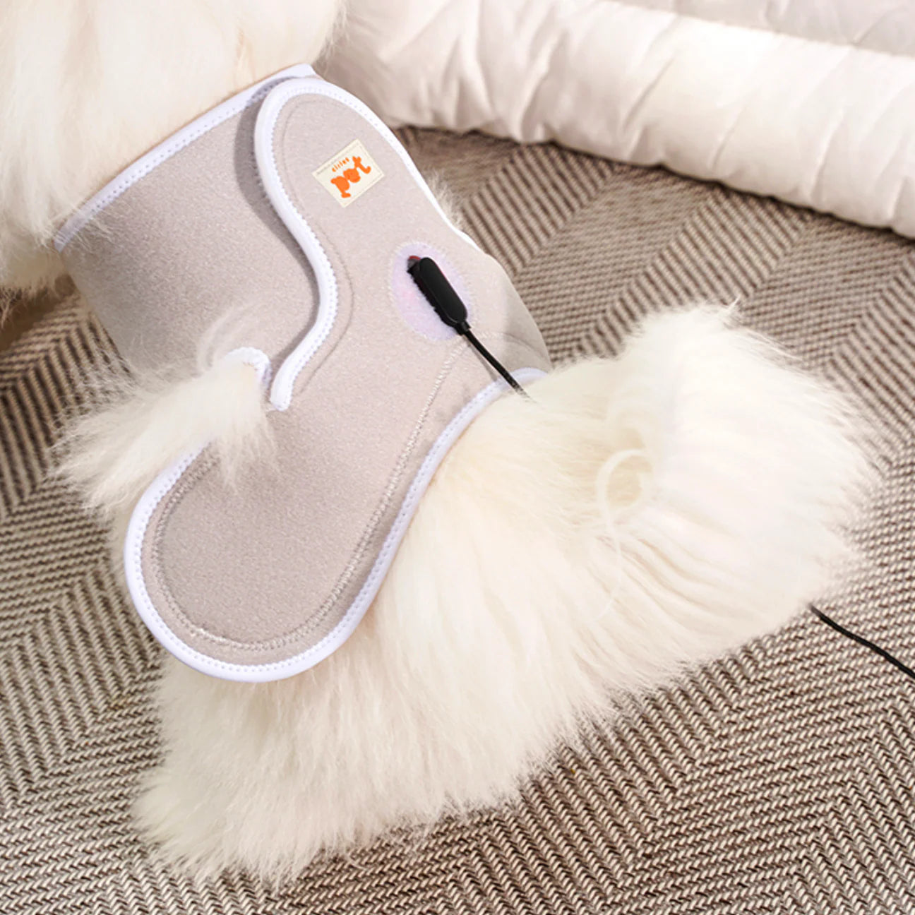 Low-level Laser Therapy (LLLT) Cape [Y-shaped] - kikiandpuppies