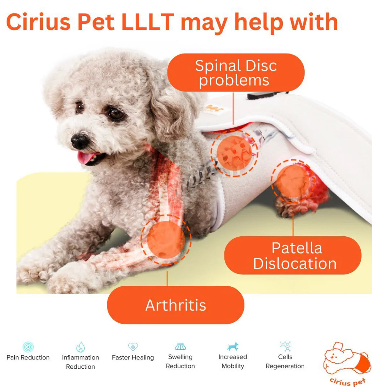 Low-level Laser Therapy (LLLT) Cape [Y-shaped] - kikiandpuppies