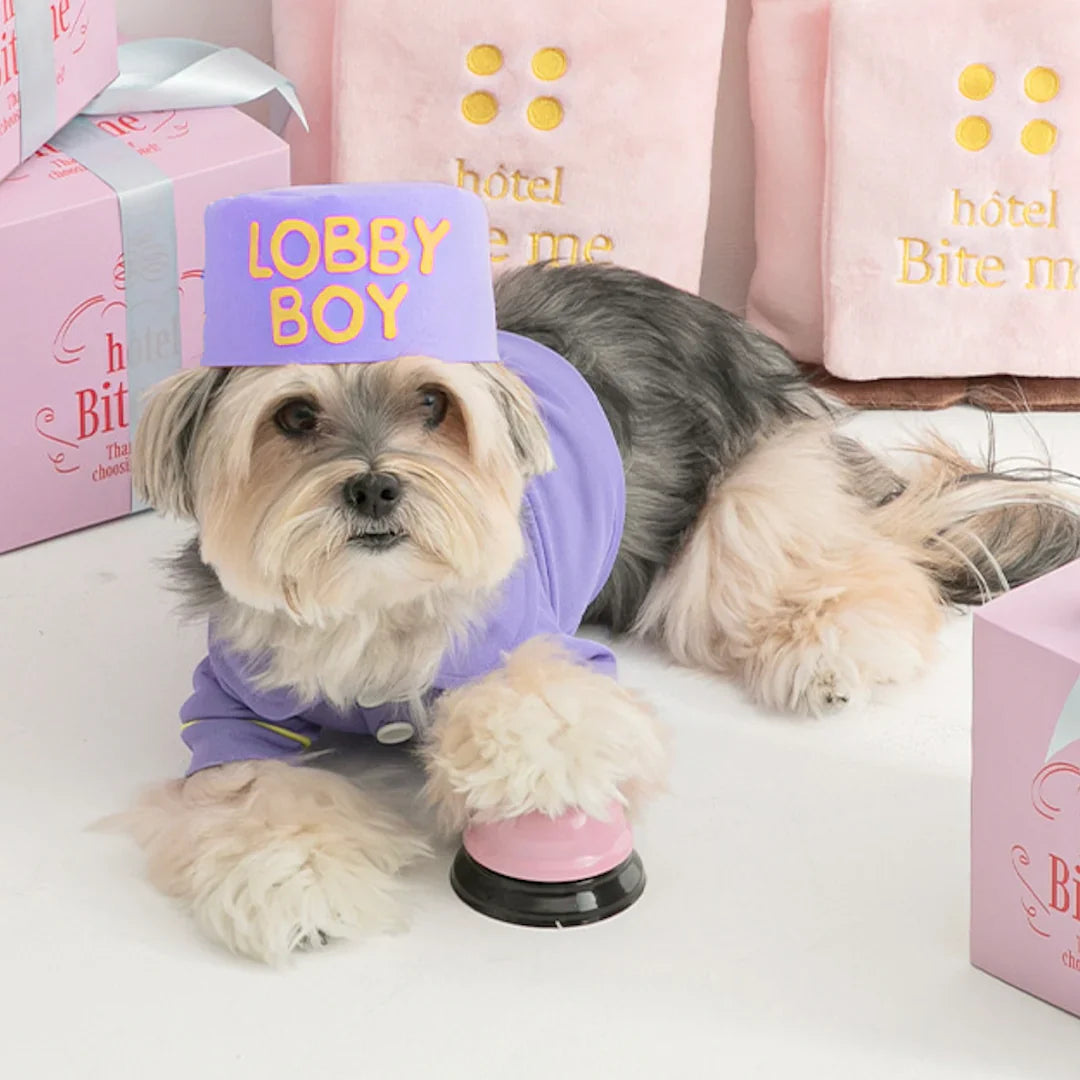 Bell Boy Bear Nosework Mat Toy