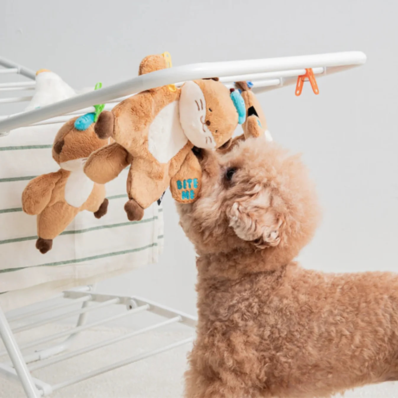 Bite me Hug Me Rope Tug Toy - Sea Otter