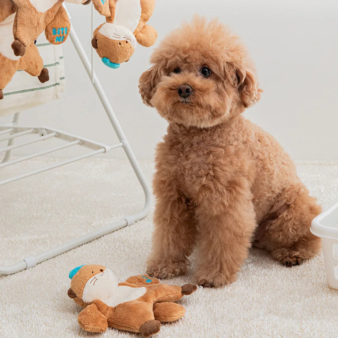 Bite me Hug Me Rope Tug Toy - Sea Otter