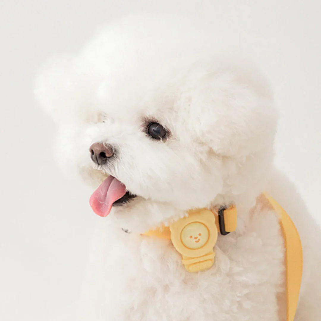 Hate Me Pest Free Band - 4 Colors