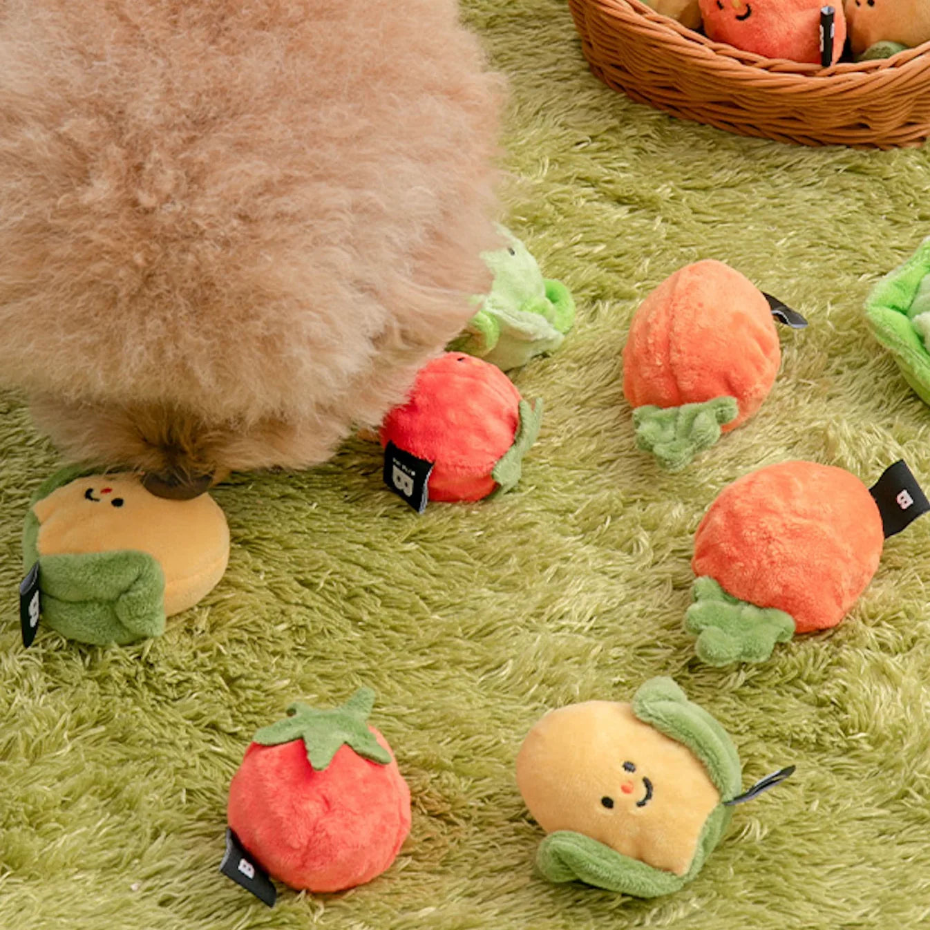 Vegetable Ball Toy (2 Sets)