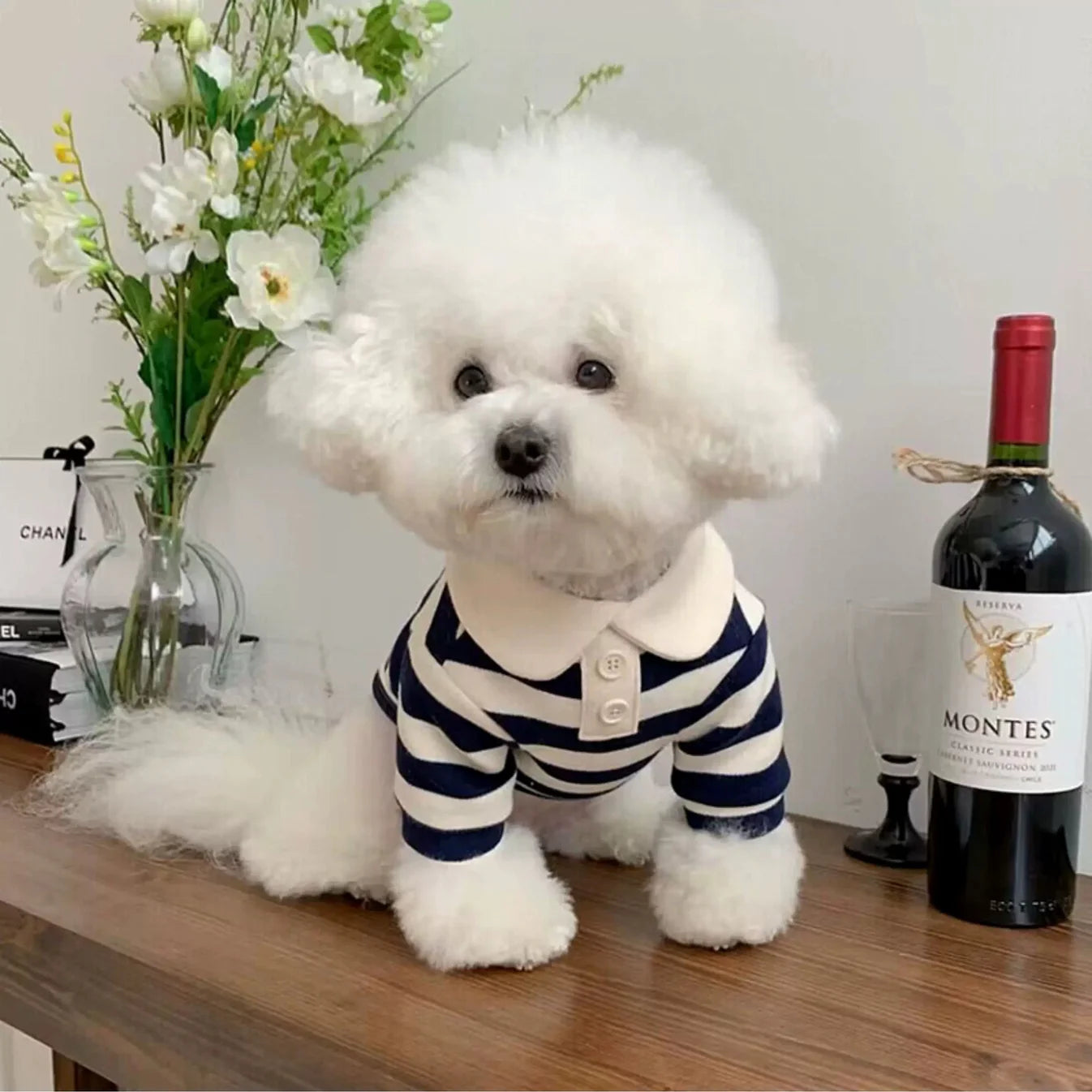 Classic Striped Polo Shirt - 2 Colors - kikiandpuppies